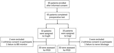 Potential increased propofol sensitivity in cognitively impaired elderly: a controlled, double-blind study